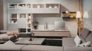 Custom Living Room Shelving